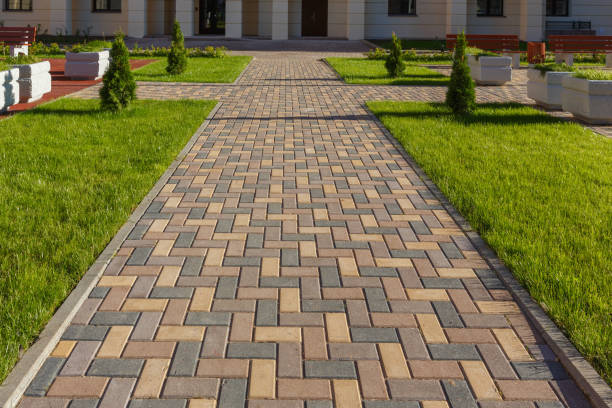 Best Driveway Repair Near Me  in Goshen, AR